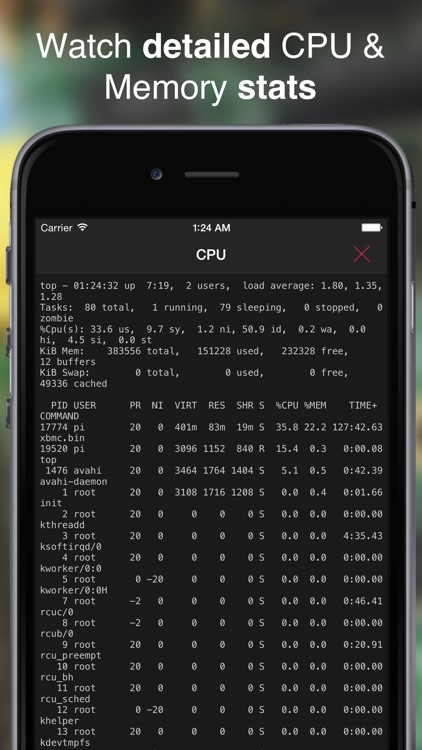 SimplePi screenshot-3