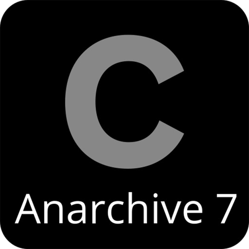 Peter Campus Anarchive 7