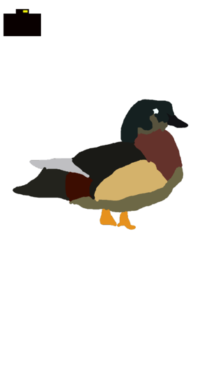 Wood Duck Simulator(圖1)-速報App