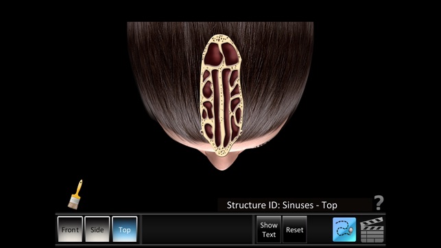 Sinus ID(圖3)-速報App