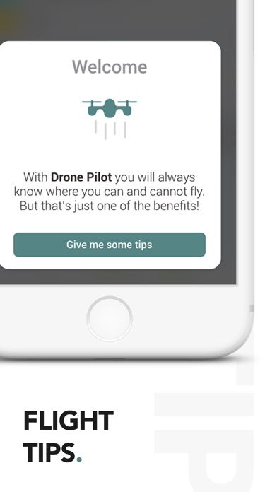 Drone Pilot - Fly Wisely screenshot 4