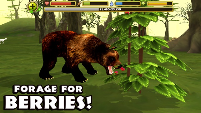 Wildlife Simulator: Bear(圖5)-速報App