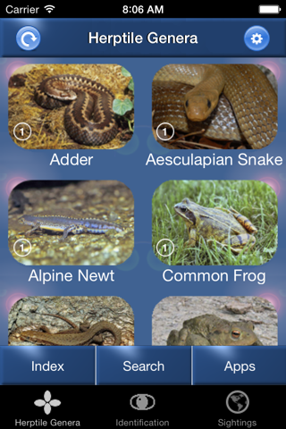 Reptile Id - UK Field Guide - náhled