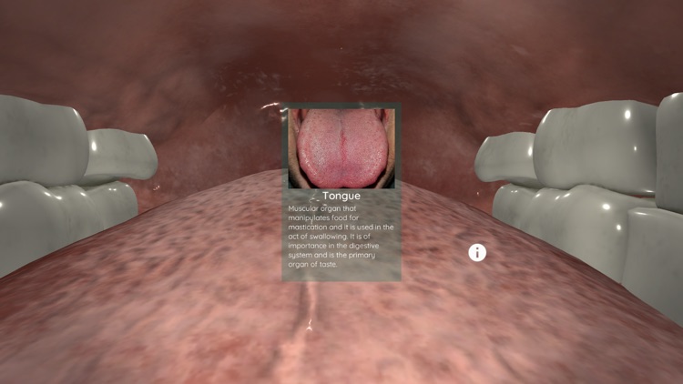 Anatomyou VR | Human Anatomy screenshot-1