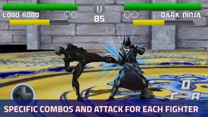 Ninja Kungfu 3D Combat Physics screenshot 2