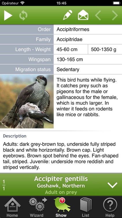 Birds of Britain and Europe screenshot-3