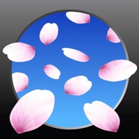 SAKURA Now - AR Sakura Camera