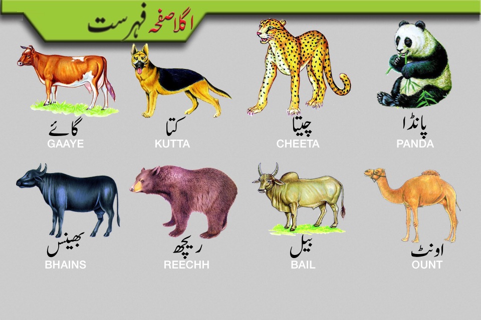 Toddler Urdu Qaida screenshot 3