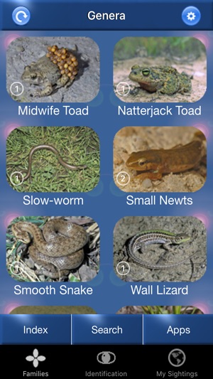 Reptile Id - UK Field Guide(圖1)-速報App