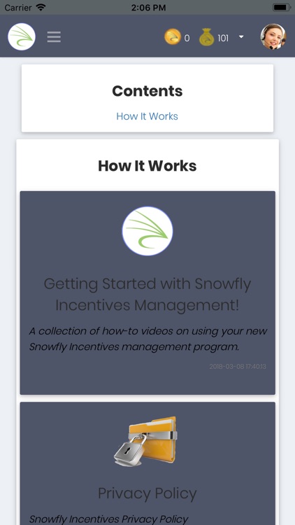 Snowfly Incentives screenshot-7