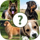 Pups Pet Trivia Pro