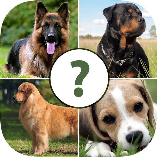 Pups Pet Trivia Pro iOS App
