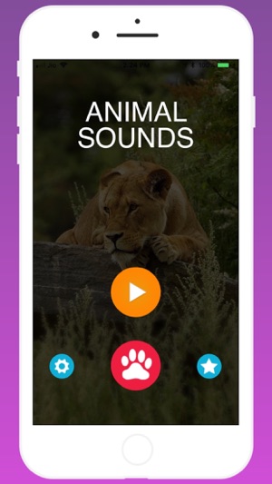 Animal Sounds for Kids.!