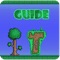 Sheet Guide for Terraria