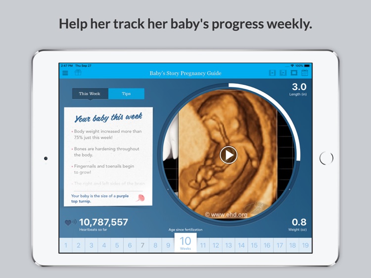 Baby's Story Pregnancy Guide screenshot-3