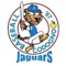 App dedicated to Codogno Baseball 67