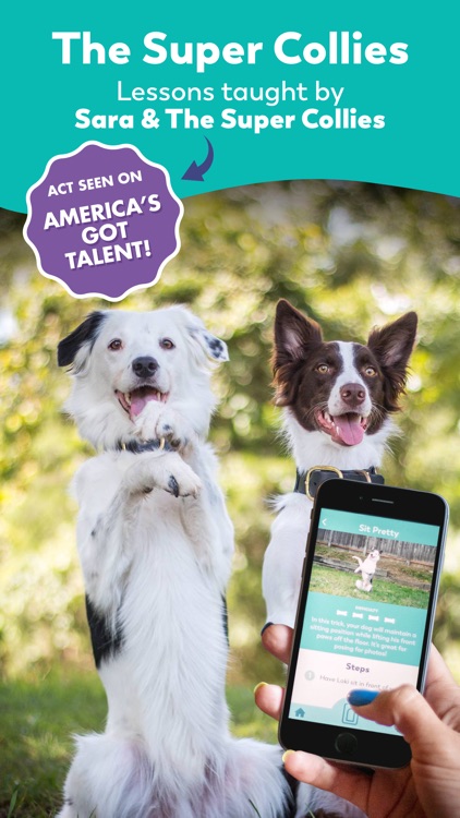 Puppr - Dog Training & Tricks screenshot-9