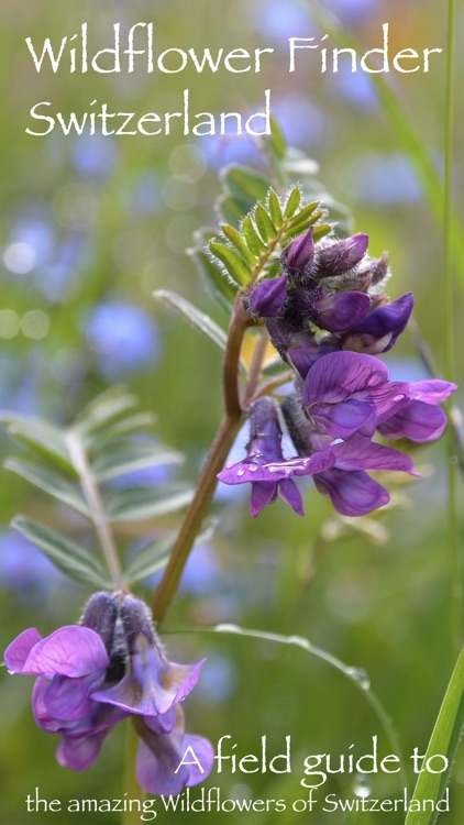 Wildflower Finder Switzerland