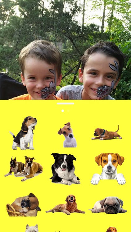 Dogs in your photos screenshot-4