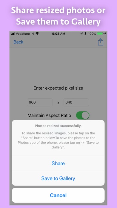 Photo Pixel Resizer screenshot 3