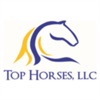TopHorses LLC
