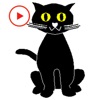 Animated Black Cat Stickers