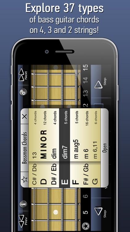Bassman Chords