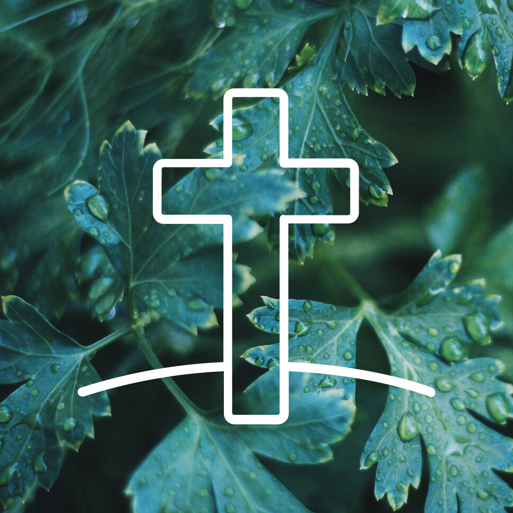 Get Bible verse of the day Daily devotionals for iOS, iPhone, iPad Aso Report