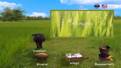 Thai rice RoongAroon screenshot 2