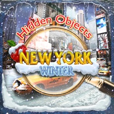 Activities of Hidden Objects New York City Winter Object Time