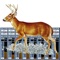 18 high quality and most effective deer Calls right in your pocket
