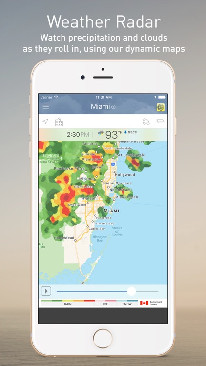 The Weather Network