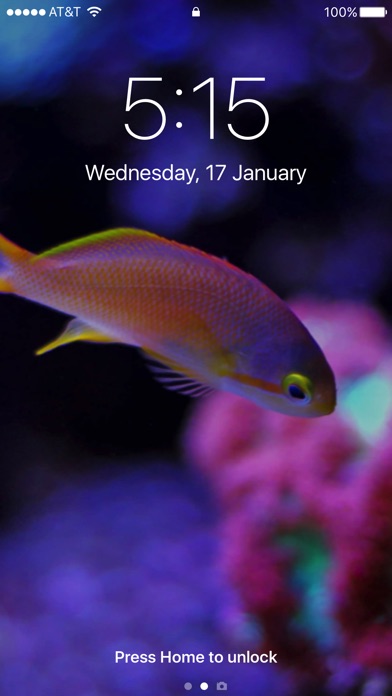 Saltwater wallpaper reef fish screenshot 3