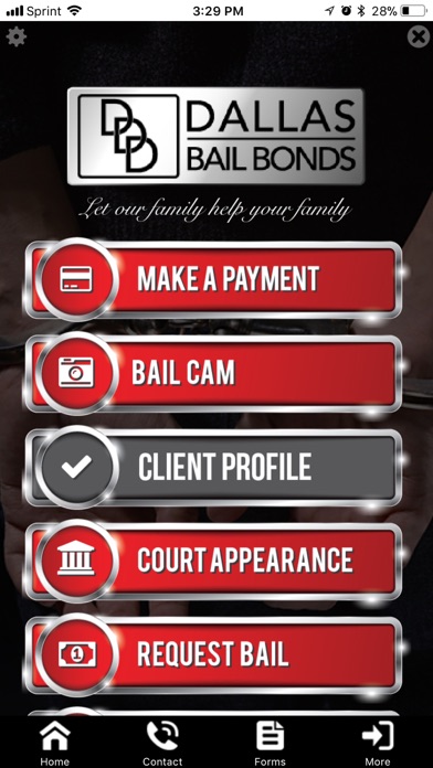 DDD Dallas Bail Bonds screenshot 3