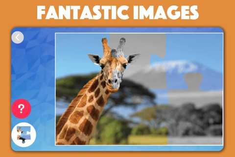 Wild Animal Jigsaw Puzzles for kids & toddlers screenshot 4