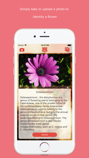 Flower Checker(圖1)-速報App