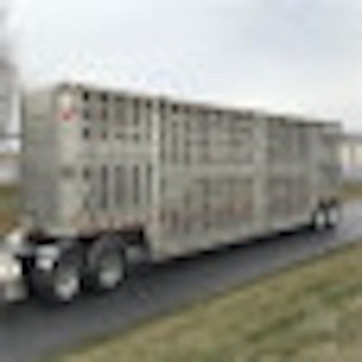 Livestock Truck Allocation