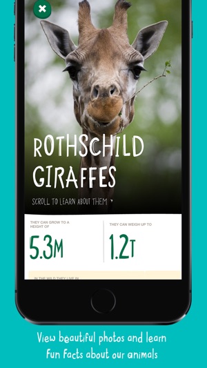 Chester Zoo(圖3)-速報App