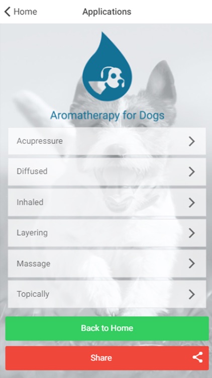 Aromatherapy for Dogs