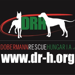 Dobermann-Rescue HUNGARIA