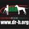 Immer up to date über Dobermann-Rescue HUNGARIA e