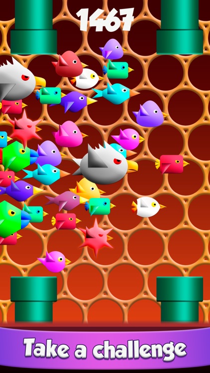 Cool Birds Game - Fun Smash screenshot-5