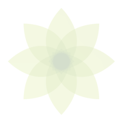 Moment – Screen Time Tracker