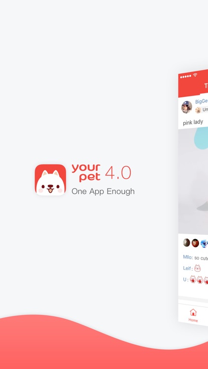 Yourpet, a community for pet lovers