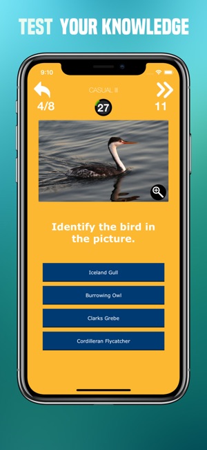 Birds Quiz - Birding Trivia(圖3)-速報App