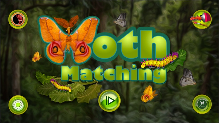 Moth Matching