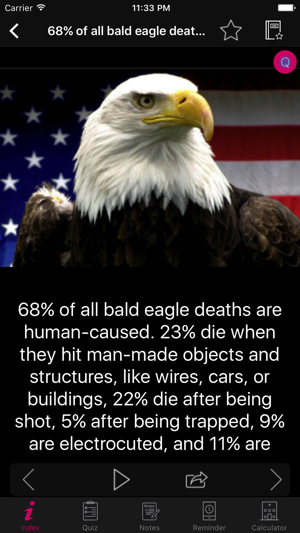 Amazing Eagles Facts 1800