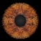 As we age, many individuals experience a decline in vision