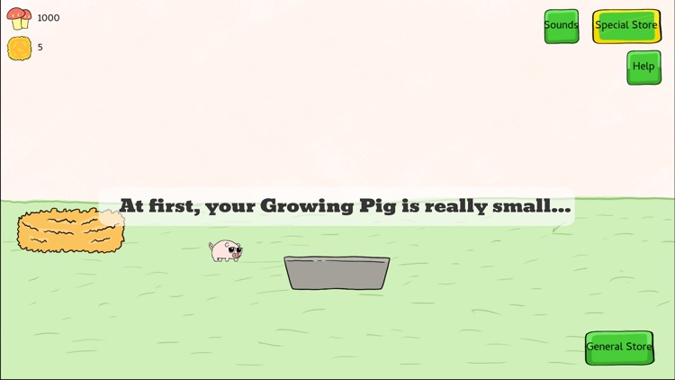 Growing Pig