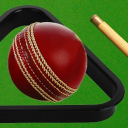 Cricket on a Pool Table